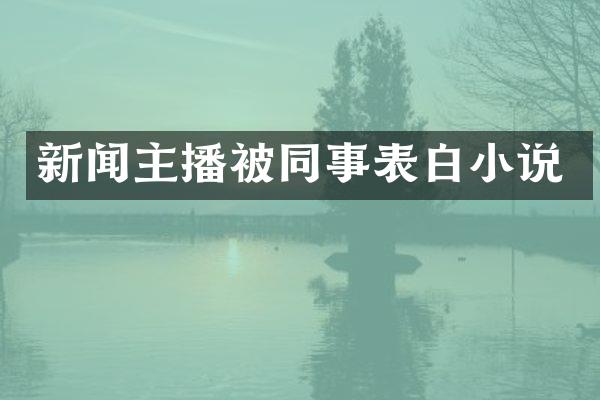 新闻主播被同事表白小说