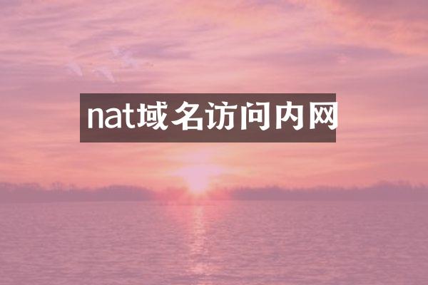 nat域名访问内网