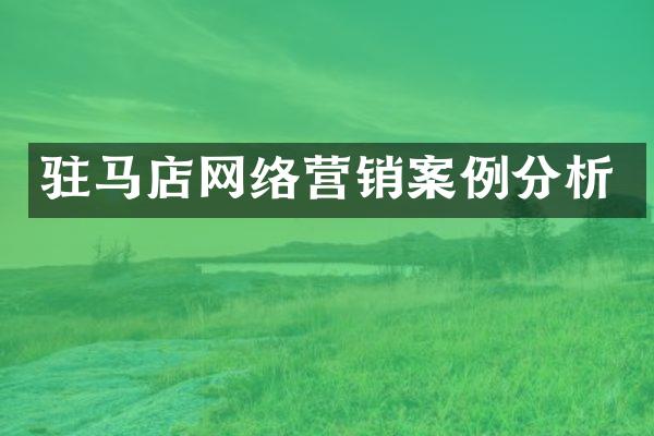 驻马店网络营销案例分析