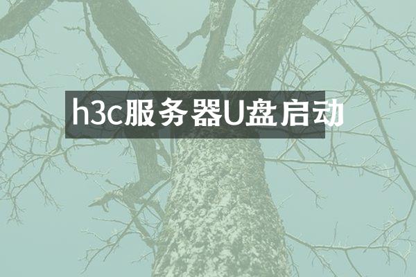 h3c服务器U盘启动