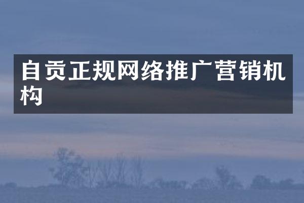 自贡正规网络推广营销机构