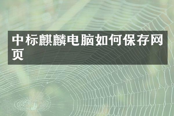 中标麒麟电脑如何保存网页