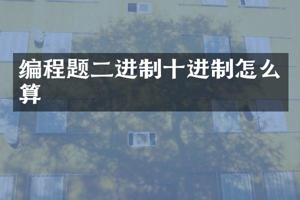编程题二进制十进制怎么算