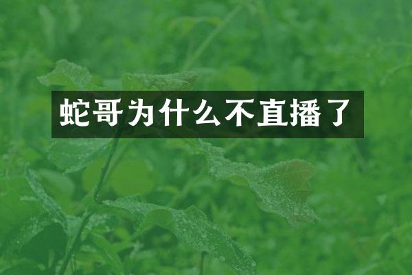 蛇哥为什么不直播了