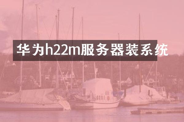 华为h22m服务器装系统
