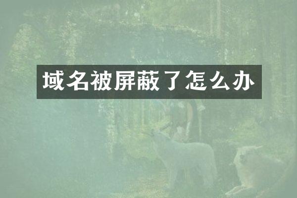 域名被屏蔽了怎么办