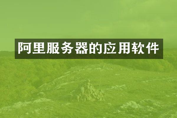 阿里服务器的应用软件