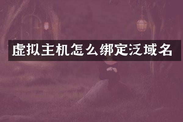 虚拟主机怎么绑定泛域名