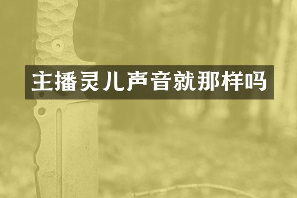 主播灵儿声音就那样吗