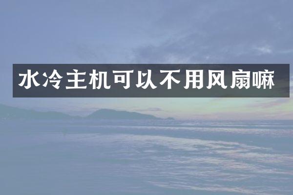 水冷主机可以不用风扇嘛