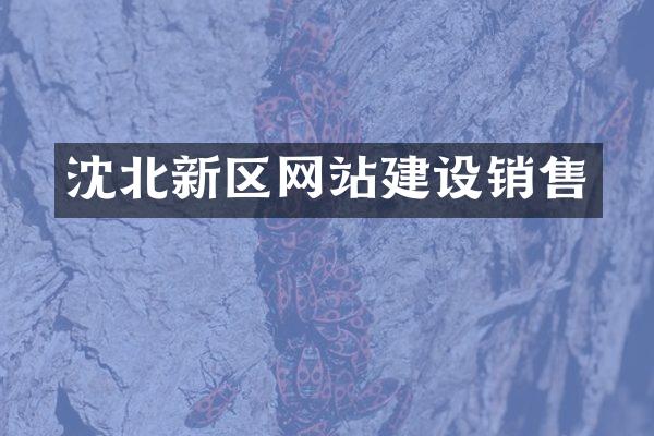沈北新区网站建设销售