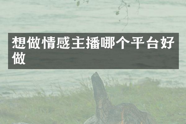 想做情感主播哪个平台好做
