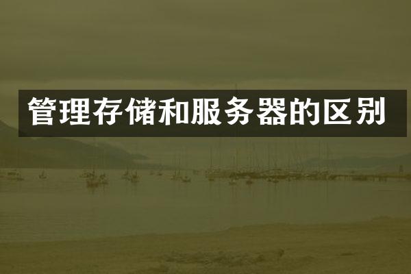 管理存储和服务器的区别