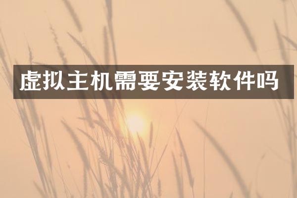 虚拟主机需要安装软件吗