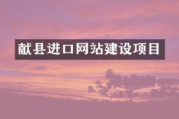 献县进口网站建设项目