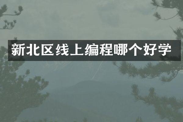 新北区线上编程哪个好学