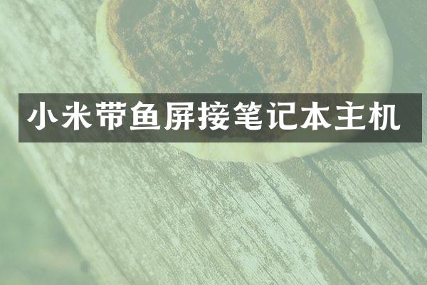 小米带鱼屏接笔记本主机