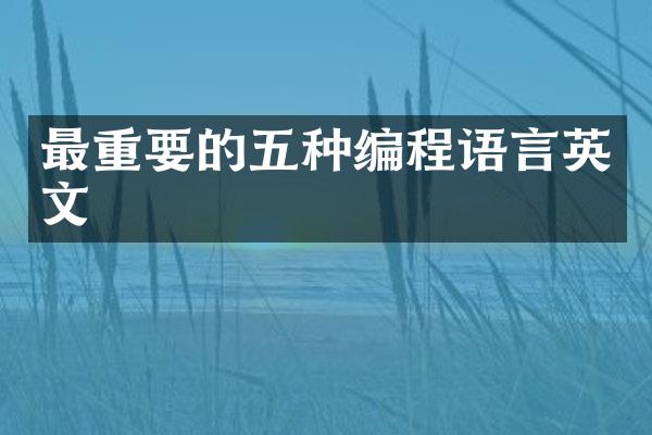 最重要的五种编程语言英文