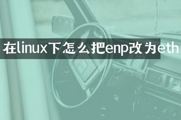 在linux下怎么把enp改为eth