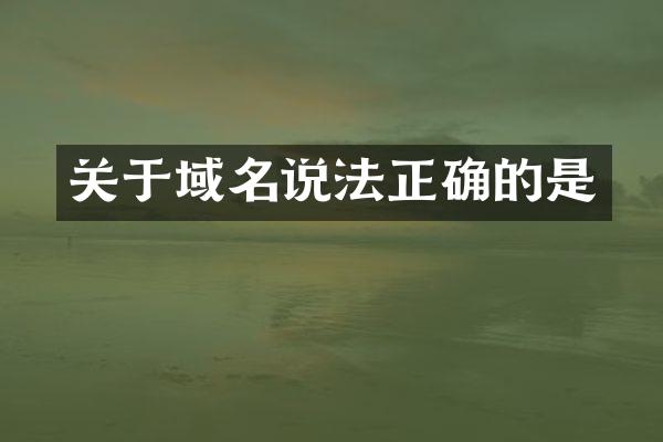 关于域名说法正确的是