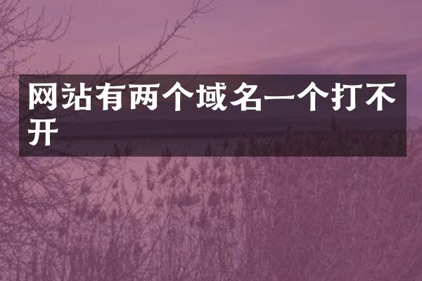 网站有两个域名一个打不开