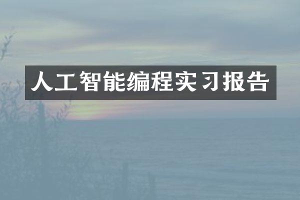 人工智能编程实习报告