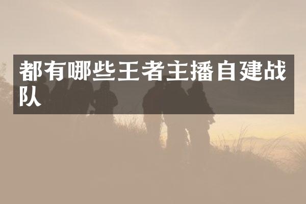 都有哪些王者主播自建战队