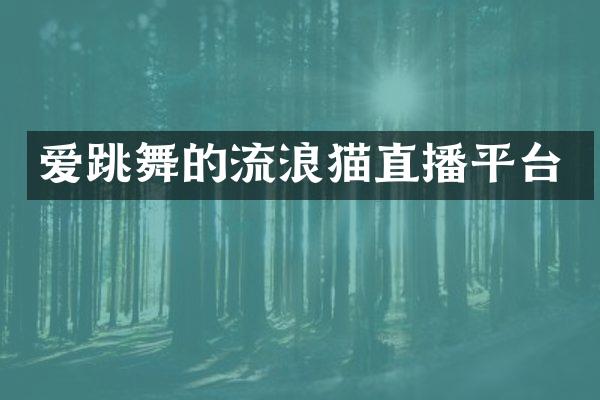爱跳舞的流浪猫直播平台