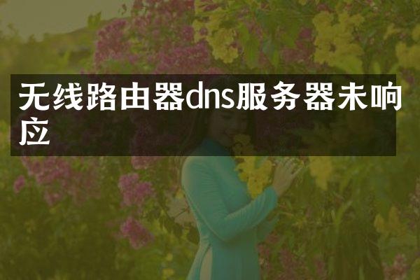 无线路由器dns服务器未响应