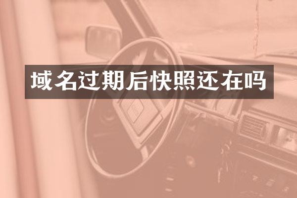 域名过期后快照还在吗