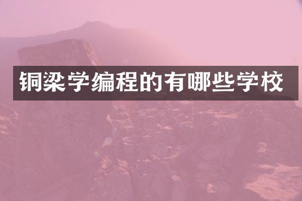 铜梁学编程的有哪些学校