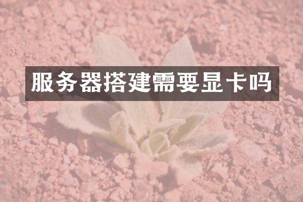 服务器搭建需要显卡吗
