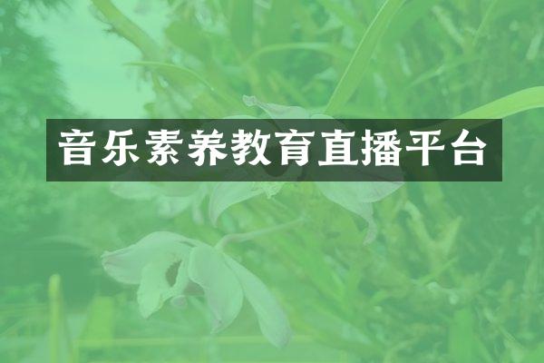 音乐素养教育直播平台