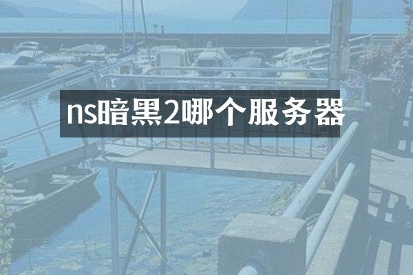 ns暗黑2哪个服务器