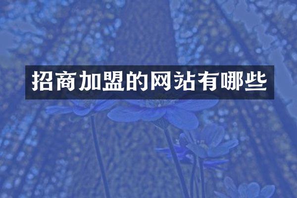 招商加盟的网站有哪些