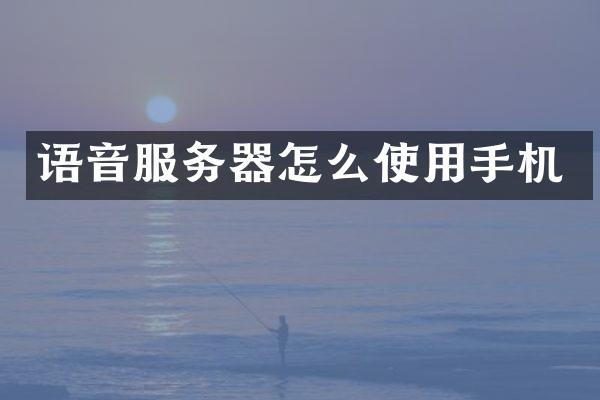 语音服务器怎么使用手机