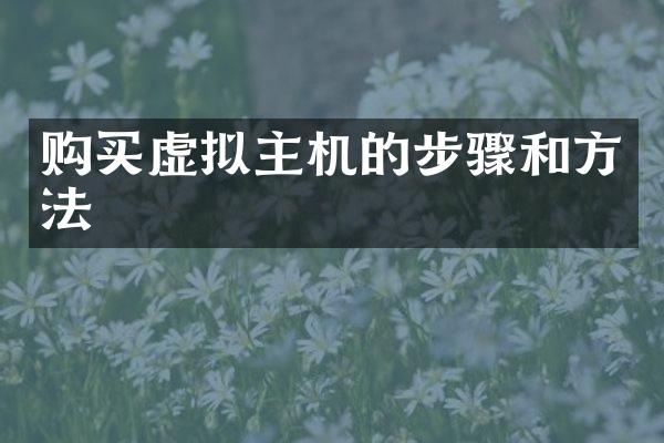 购买虚拟主机的步骤和方法