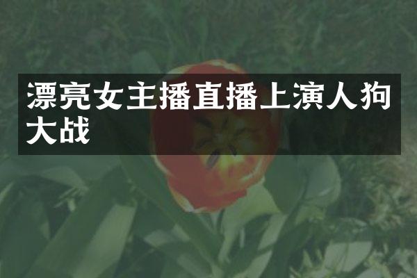 漂亮女主播直播上演人狗大战