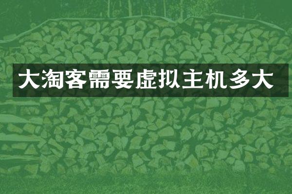 大淘客需要虚拟主机多大