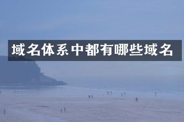 域名体系中都有哪些域名