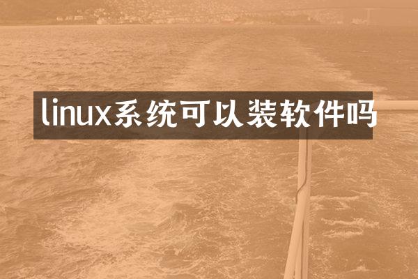 linux系统可以装软件吗