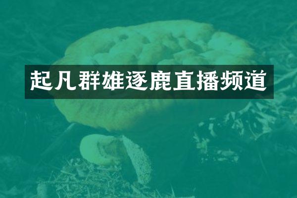 起凡群雄逐鹿直播频道