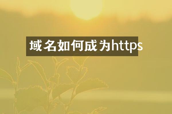 域名如何成为https