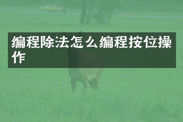 编程除法怎么编程按位操作