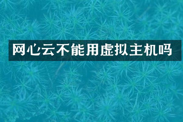 网心云不能用虚拟主机吗