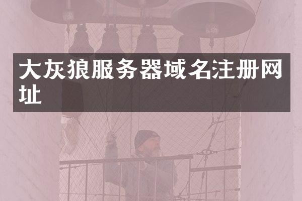 大灰狼服务器域名注册网址