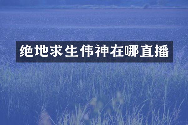 绝地求生伟神在哪直播