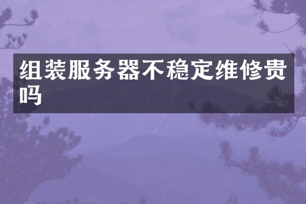 组装服务器不稳定维修贵吗