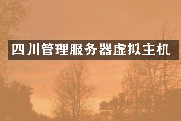 四川管理服务器虚拟主机