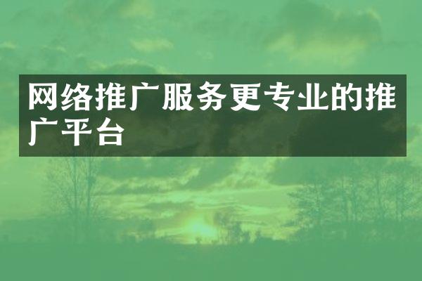 网络推广服务更专业的推广平台